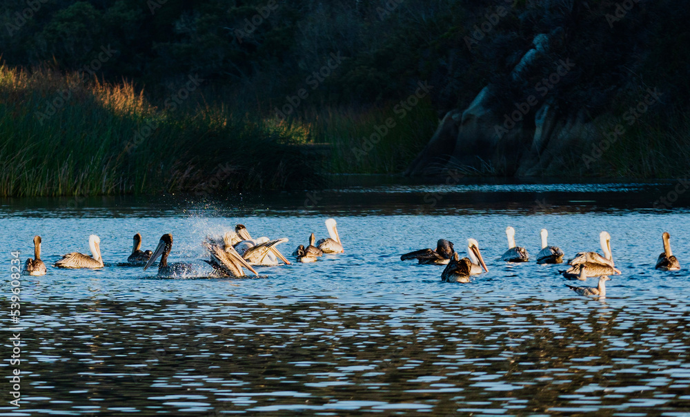 Carmel River State Beach