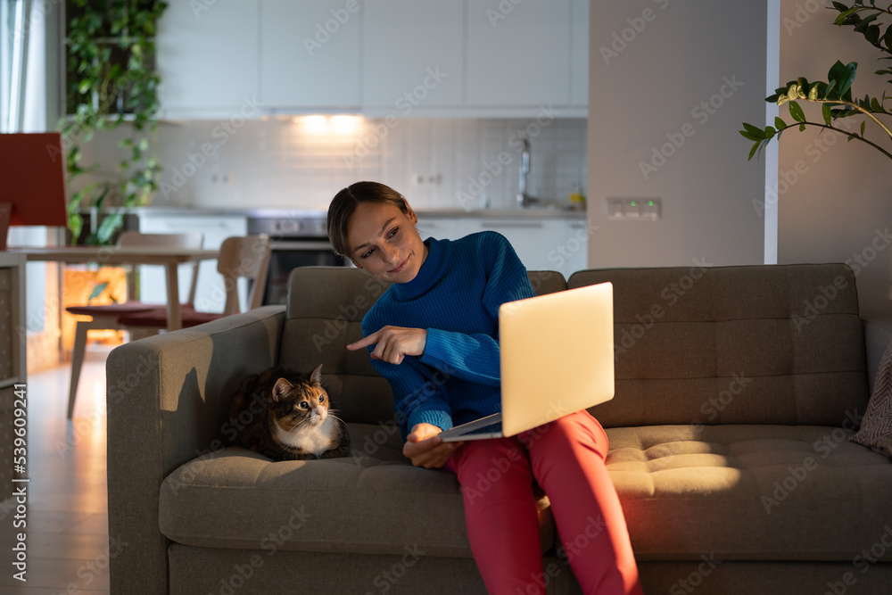 Fototapeta premium Businesswoman works on laptop and talks with friend via videocall. Young woman in blue sweater discusses issues with colleagues and shows adorable domestic cat wanting to play with owner in cozy room