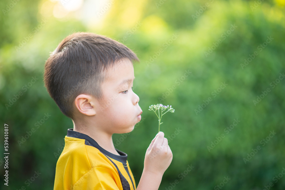 Asian little boy blowing pollen of flower summer spring time Asian little boy blowing pollen of flower summer spring time
