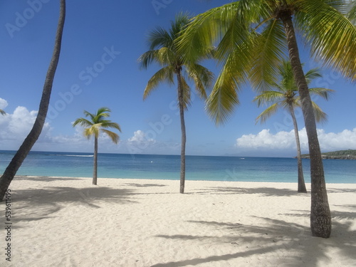 Des palmiers sur la plage de sable blanc, devant la mer turquoise © Patrick