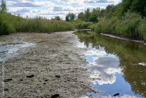 Dirty and muddy riverbed with clouds and vegetation reflecting on the water