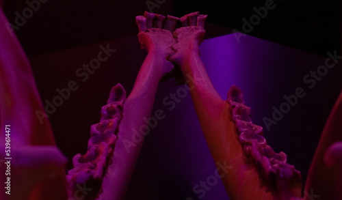 Canvas Print closeup of elk jawbone