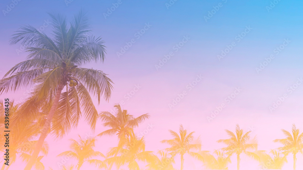 The holiday of Summer  holiday colorful theme with palm trees background as texture frame background