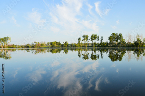Magical Nature