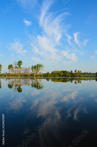 Magical Nature