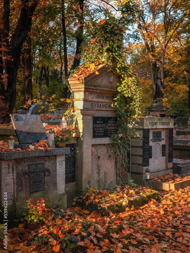 Rakowice w Krakowie w słoneczny, jesienny dzień