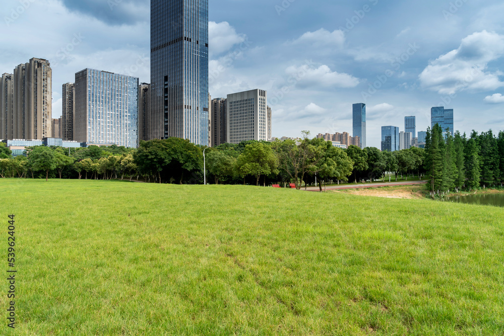 city park with modern building background in shanghai