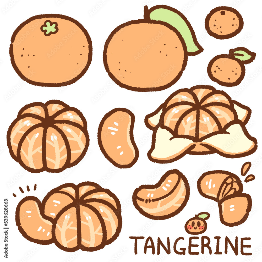 tangerine cartoon drawing set tangerine cartoon drawing set