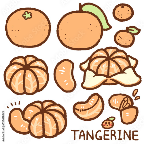 tangerine cartoon drawing set