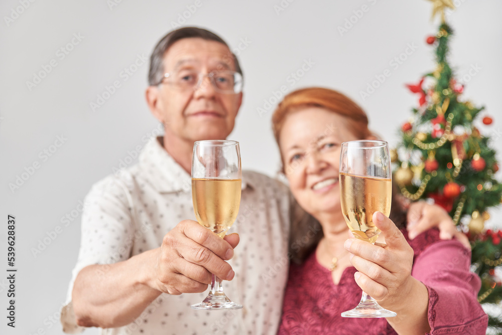 Happy senior latin couple toasting towards camera during Christmas or New Year, celebrating holidays together. Selective focus on the glasses. Happy senior latin couple toasting towards camera during Christmas or New Year, celebrating holidays together. Selective focus on the glasses.