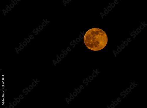 Принти на полотні the disk of the orange moon in the dark sky