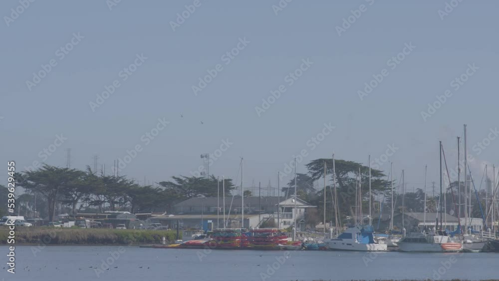 Slow motion panning shot of sail boats docked in Moss Landing Harbor California. Slow motion panning shot of sail boats docked in Moss Landing Harbor California.