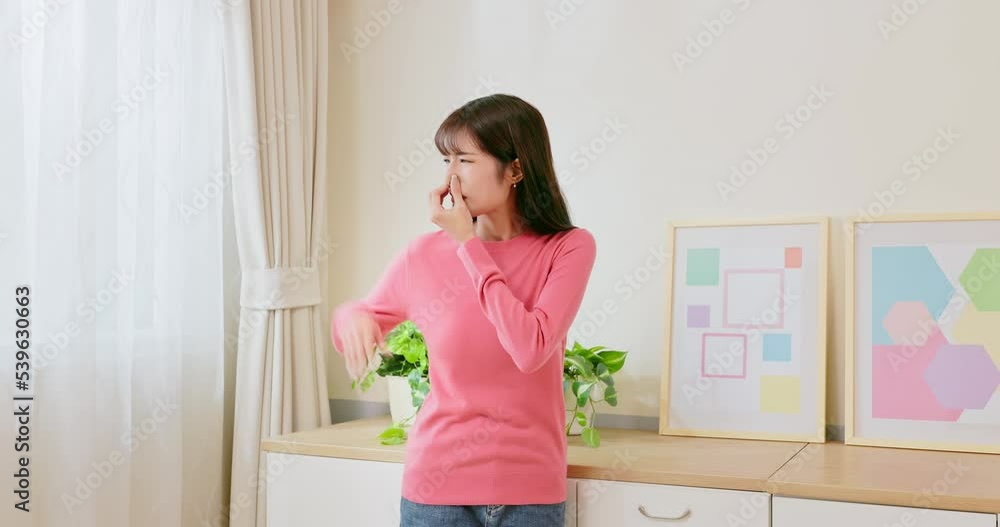 woman smell something stinky woman smell something stinky