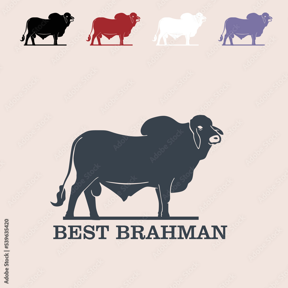 Obraz premium angus great bull logo, silhouette of big and strong cattle vector illustrations