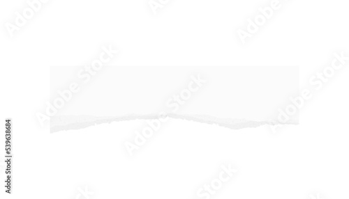 Wallpaper Mural Torn paper edges for background. Ripped paper texture background with area for copy space. Torontodigital.ca