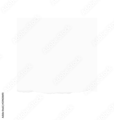 Wallpaper Mural Torn paper edges for background. Ripped paper texture background with area for copy space. Torontodigital.ca