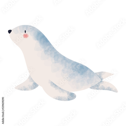sea dog winter animal