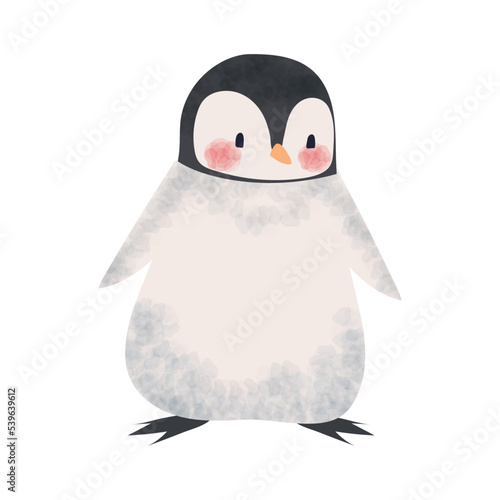 penguin winter animal