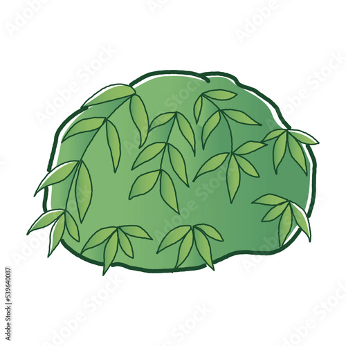 ウォーターフェザーボールのイラスト（水草）