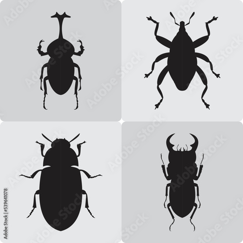 Various beetles silhouette vector design