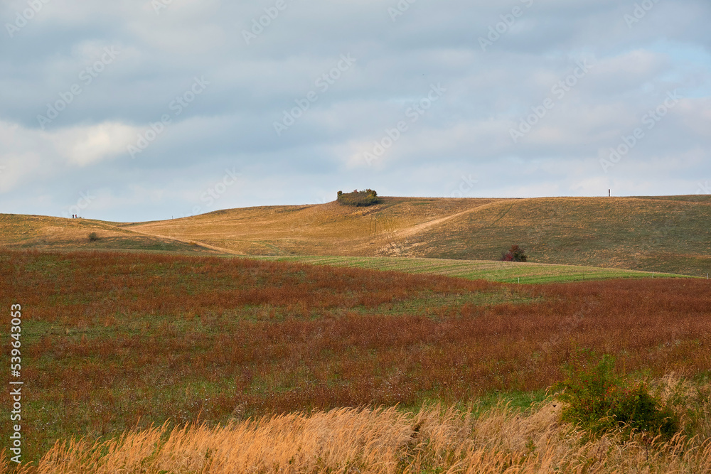 Fototapeta premium ruegen