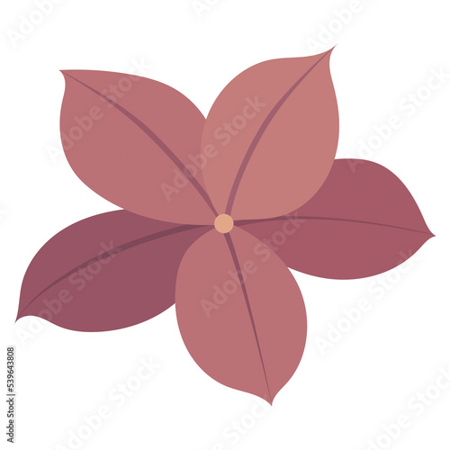 Abstract pink flower.