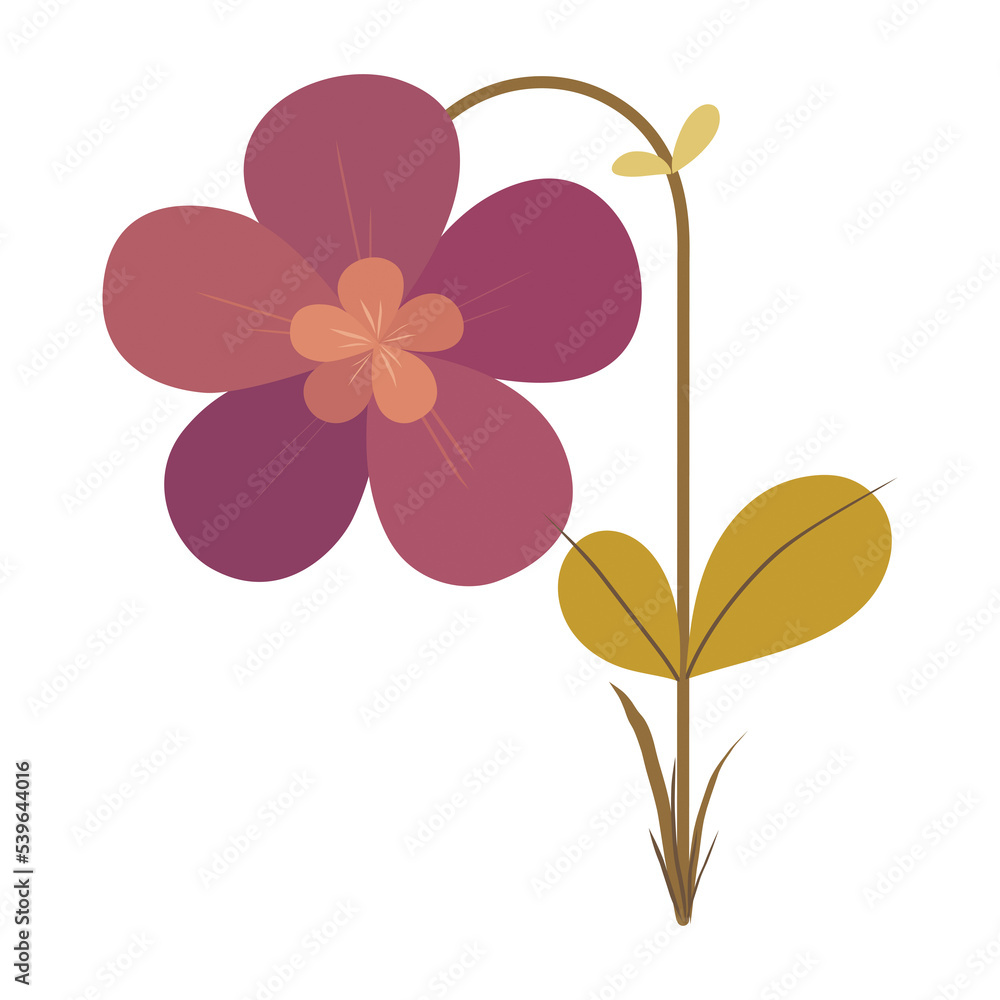 Fototapeta premium Flower, botanic element