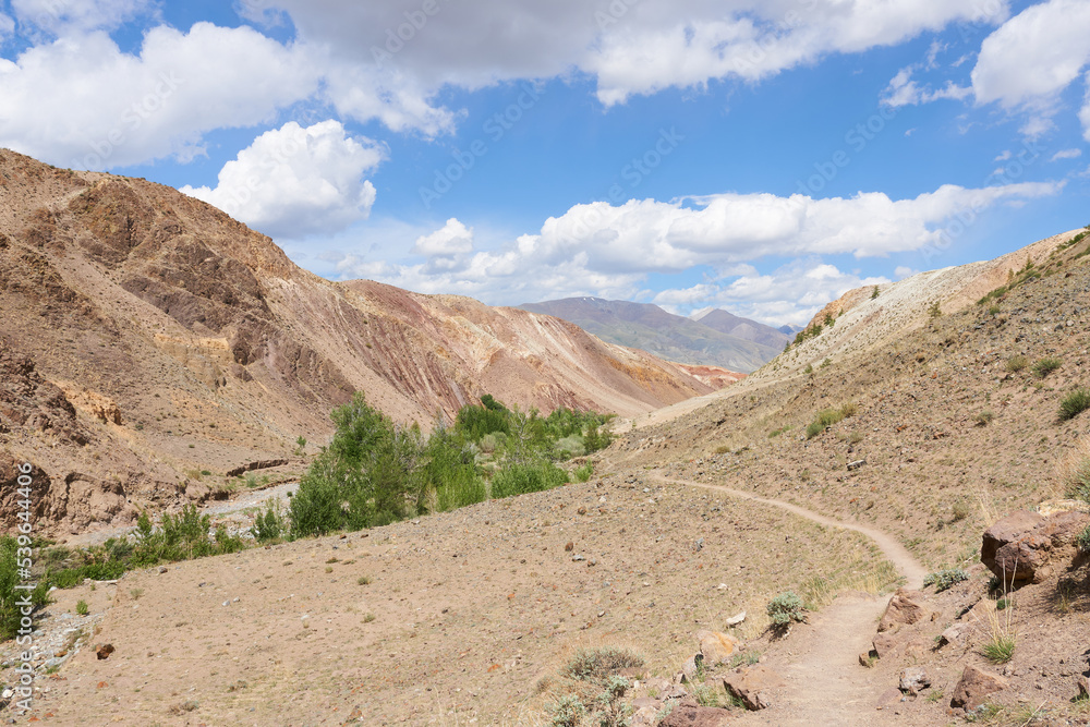 A hiking trail in the Altai Mountains on a sunny day against a background of blue sky and clouds. Concept - tourist places.
