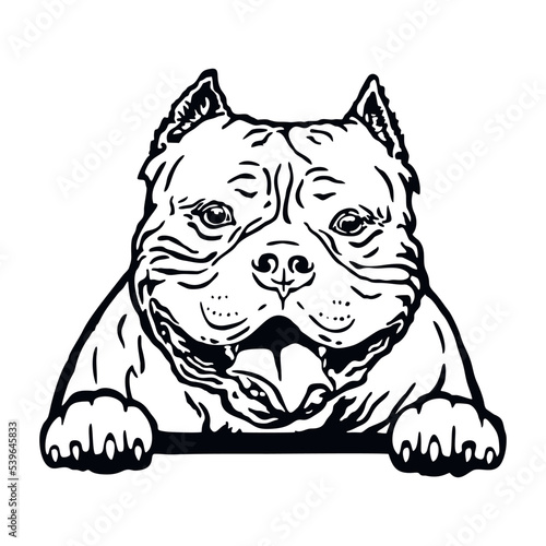 American Staffordshire Terrier - Funny Dog, Vector File, Cut Stencil for Tshirt