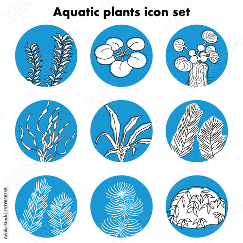 水草のアイコンセット アクアリウム水槽　ビオトープ
