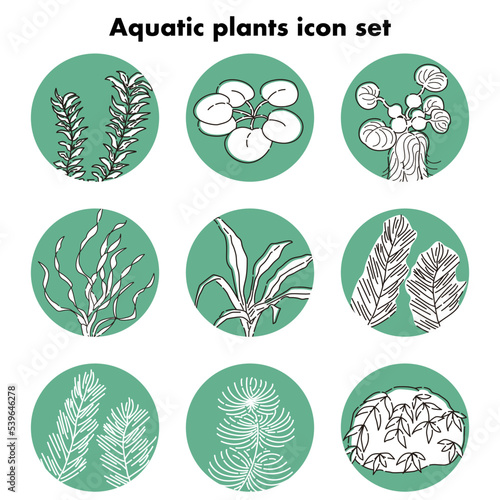 水草のアイコンセット アクアリウム水槽　ビオトープ