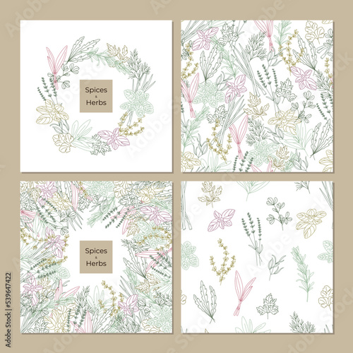 Label cover and seamless pattern of spicy herbs line Oregano, Fenugreek, Rosemary, Mint, Arugula, Thyme, Parsley, Lavender, Tarragon, Basil, Dill, Scallion, Cheremsha, Cilantro, Sage, Lovage.