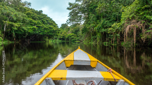 The boat sails on the Amazon river, around the rainforest is reflected in the water