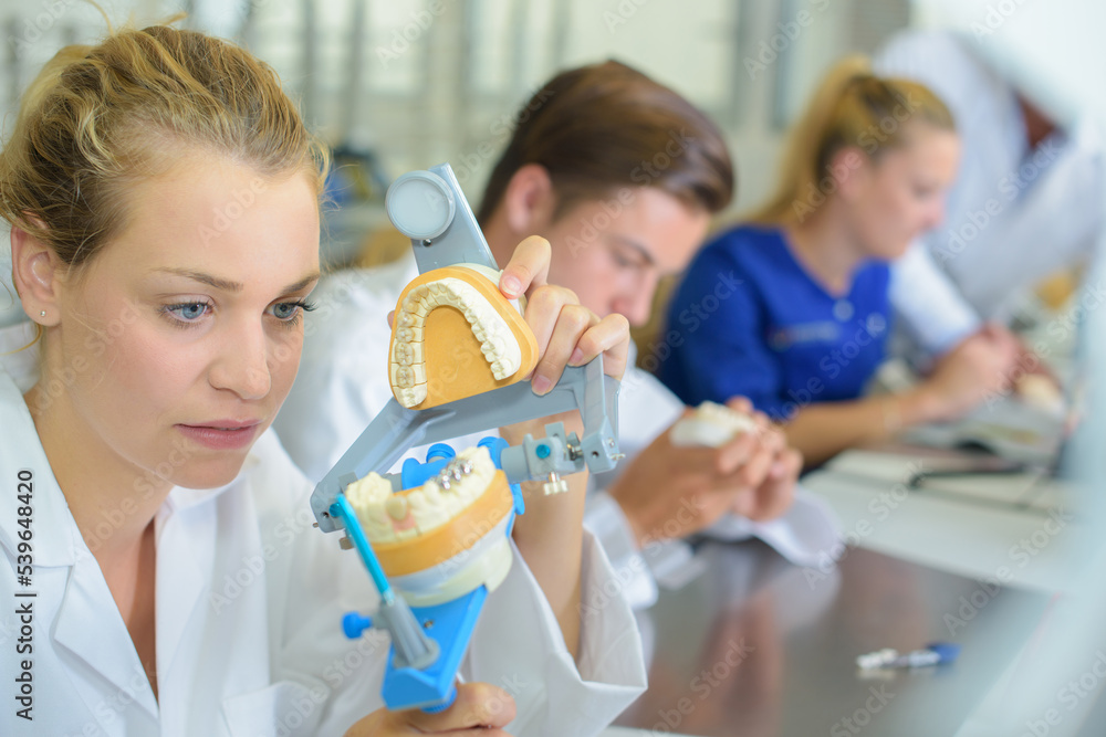 female worker at a dental laboratory female worker at a dental laboratory