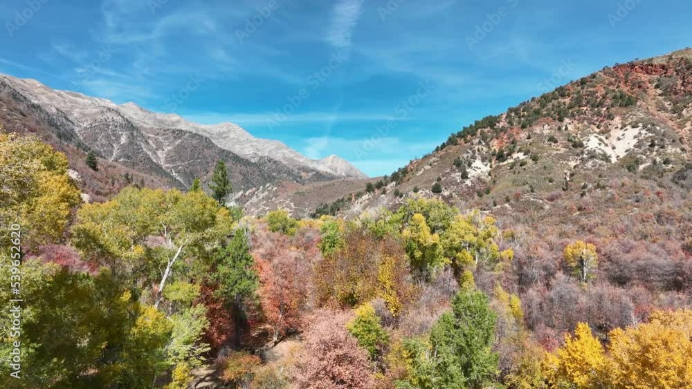 Aerial Mount Nebo trees autumn 4K. Season Autumn fall colors forest. Mount Nebo, Central Utah. Canyon valley and trails. Travel destination. Exploring natural landscape. Aerial Mount Nebo trees autumn 4K. Season Autumn fall colors forest. Mount Nebo, Central Utah. Canyon valley and trails. Travel destination. Exploring natural landscape.