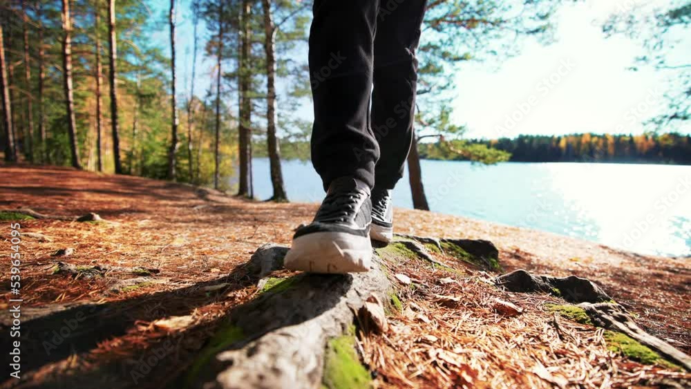 Close up of person foot in shoe in sneakers walks in lying tree in wooded area in hike and walk. Nature landscape of outdoors and blue lake. Leisure activity in sports lifestyle. Summer hiking. Close up of person foot in shoe in sneakers walks in lying tree in wooded area in hike and walk. Nature landscape of outdoors and blue lake. Leisure activity in sports lifestyle. Summer hiking.