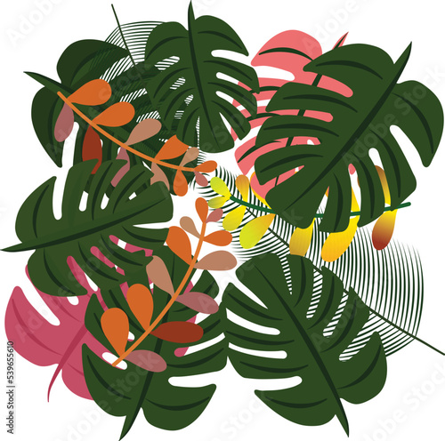 Colorful leaves on the green background.   