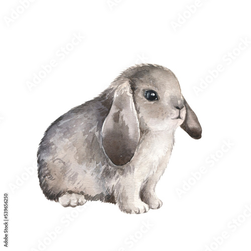 Cute gray rabbit watercolor illustration. Easter bunny. Hand painted art isolated on white background. Fluffy animal, pet. Element for decorative kids design