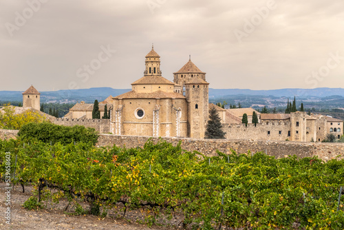 Panoramic view of the royal monastery of Santa Maria de Poblet of the Cistercian order surrounded by vineyards in early autumn in Tarragona in Spain