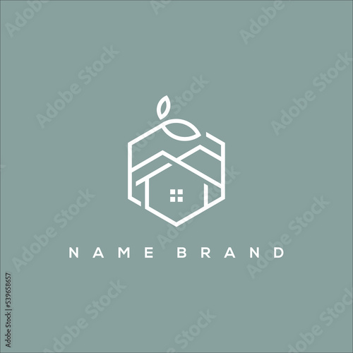 A line art icon logo of a home and mountain in a hexagon of leaves