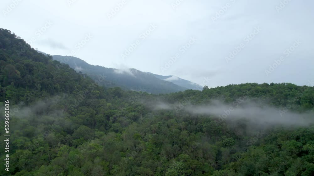 A drone shot of greenery forest scenery in Ipoh, Perak, Malaysia covered with mist A drone shot of greenery forest scenery in Ipoh, Perak, Malaysia covered with mist