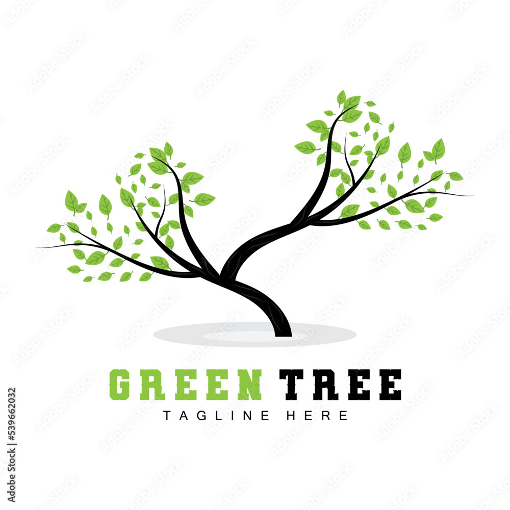 Obraz premium Green Tree Logo Design, Bonsai Tree Logo Illustration, Leaf And Wood Vector