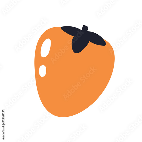 Persimmon, exotic tropical whole fruit. Fresh natural food, ripe orange berry...