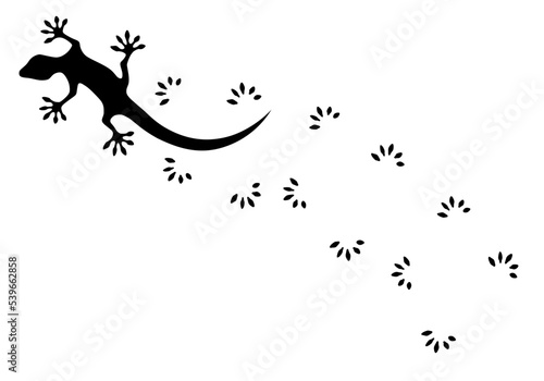 The silhouette of a lizard. A small reptile. A gecko. Lizard tracks.