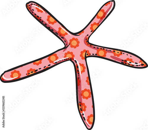 Star fish   Sea star  Sea life element