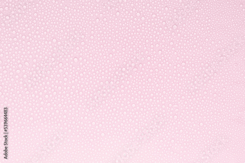 Water drops on tender pastel soft light pink background as pattern of tiny glossy shine drops as dew, texture, top view.