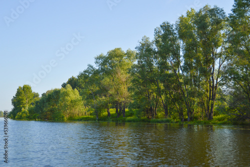 lake in the forest