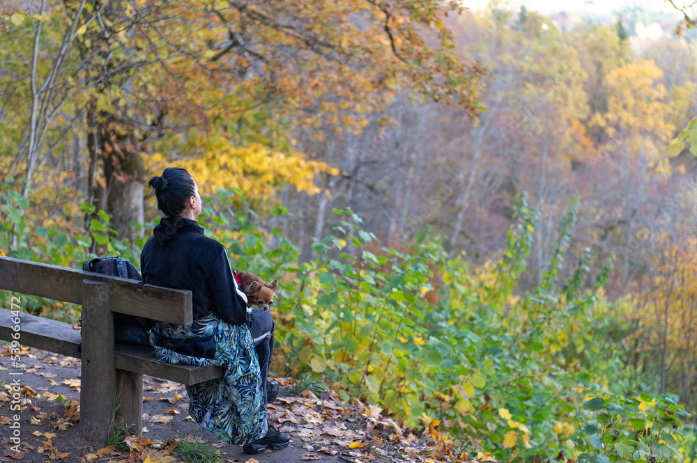 Fototapeta premium a young woman with a dog on her lap sits on a bench and observes the autumn landscape