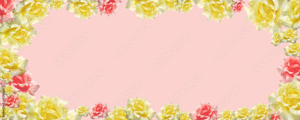 Dreamy gradient background with colorful roses  merging in a pastel colored flower composition. Floral border frame and copy space. Template banner