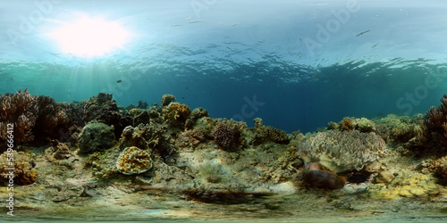 Sea coral reef. Underwater Tropical Sea Seascape. Tropical fish reef marine. Philippines. Virtual Reality 360.